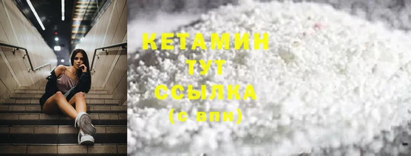 шишки Осинники