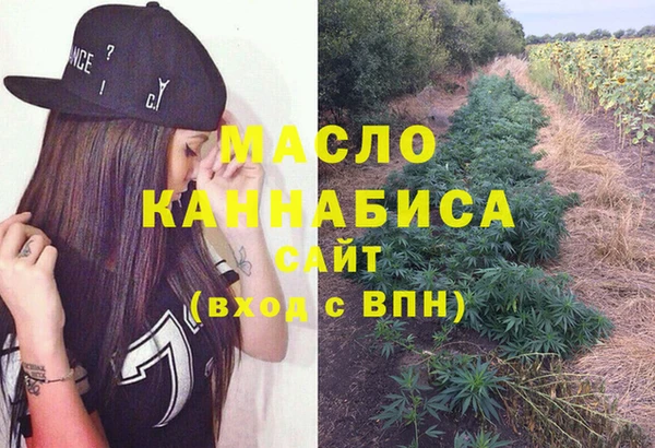 тгк Пересвет