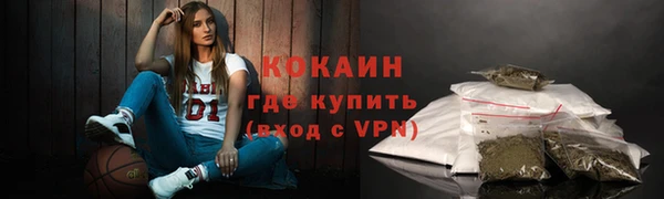 шишки Осинники