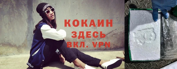 шишки Осинники
