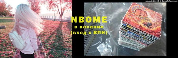 шишки Осинники