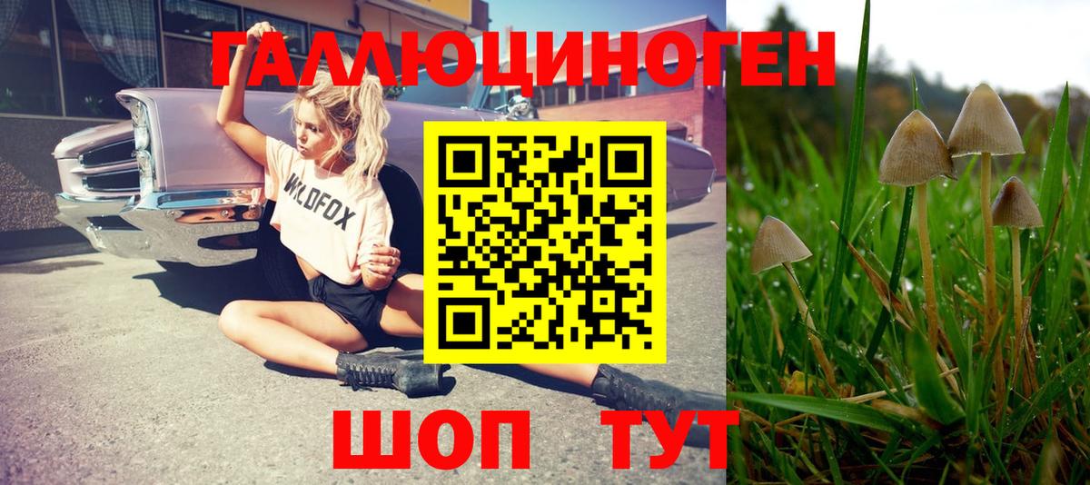 Псилоцибиновые грибы мицелий Богородск