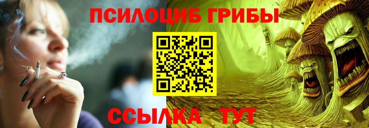 Галлюциногенные грибы прущие грибы  Богородск  Псилоцибиновые грибы Psilocybe 