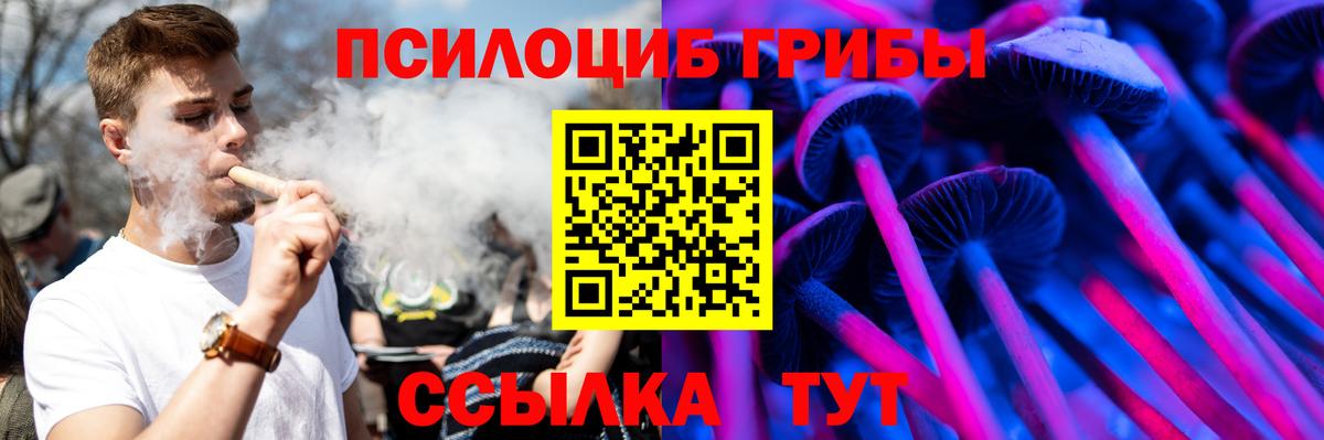Галлюциногенные грибы MAGIC MUSHROOMS  Вход с VPN  Богородск 